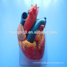 VENTAS CALIENTES Anatomía humana humana Modelo médico del corazón, modelo plástico del corazón
